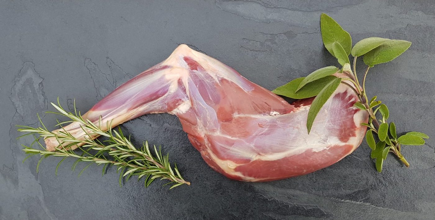 Schlegelblatt (Schulter)